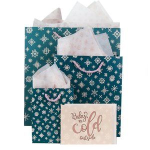 Gift Bags Set with Tissue Paper & Greeting Cards